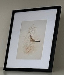 Bird Sketch Framed Art 8"x10"