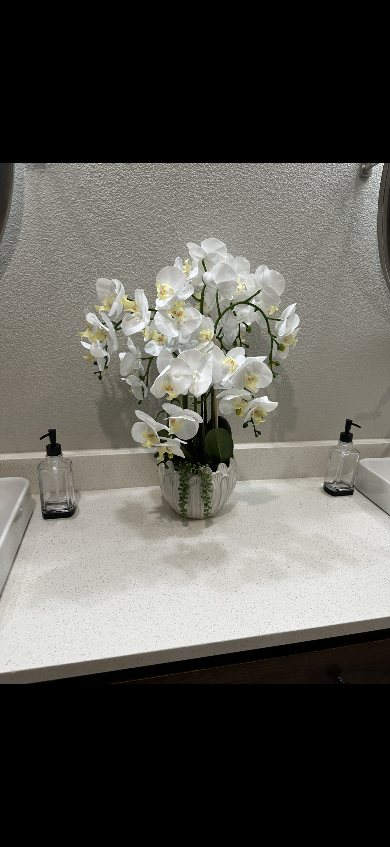 Orchids in White Pot