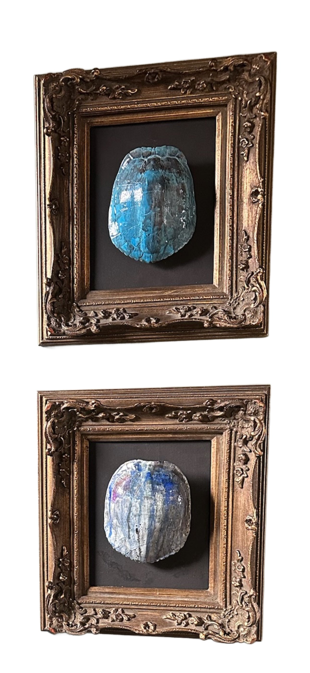 Framed Blue Turtle Wall Art