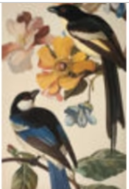 Bird Wall Hanging Tapestry II