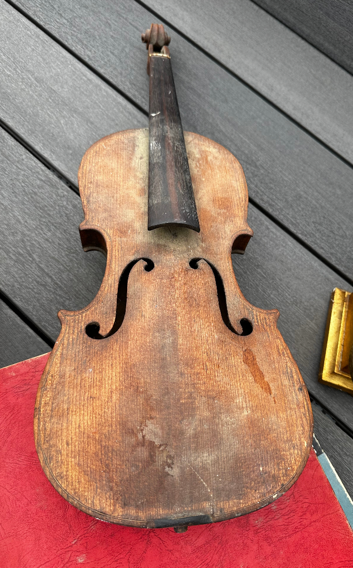 Violin Shell Vintage