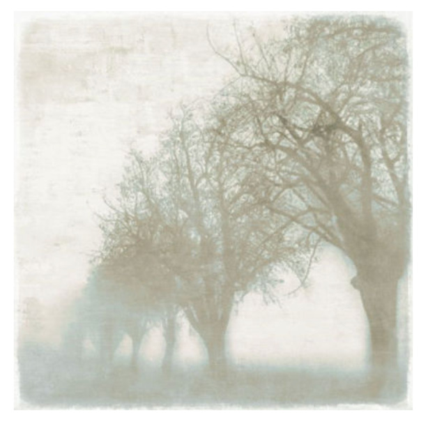 Mystic Morning III 24x24