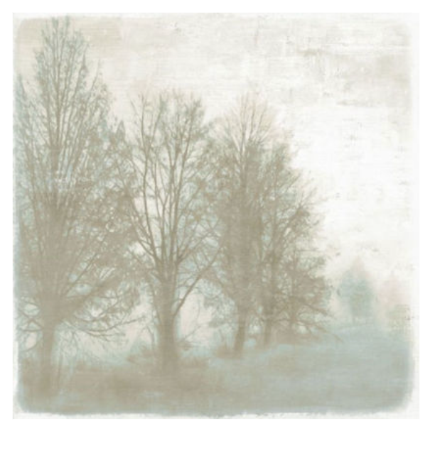 Mystic Morning II 24x24