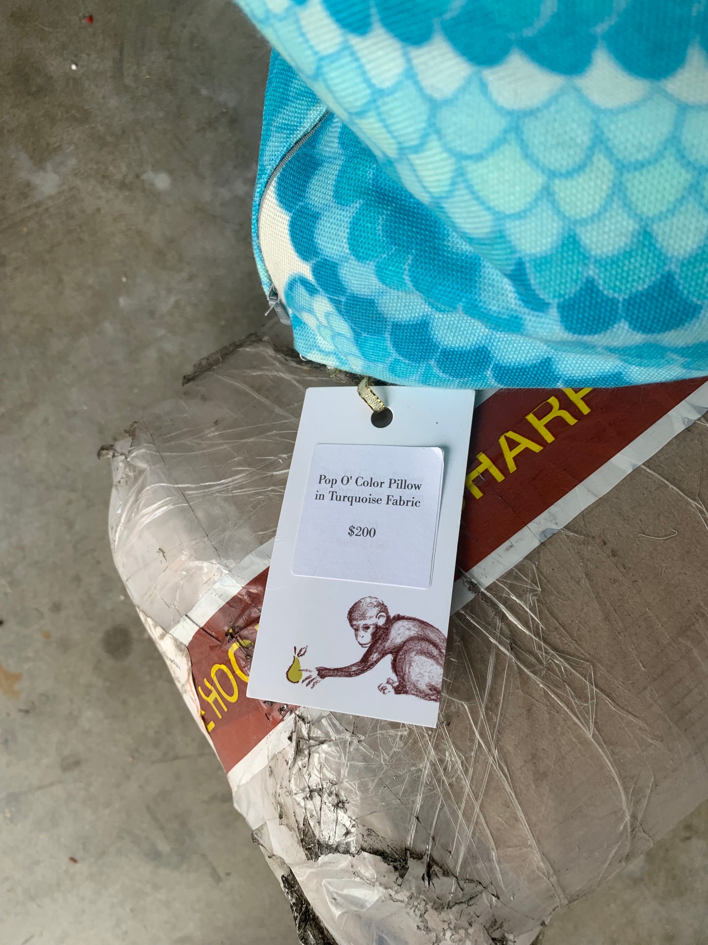 Pop O' Color Pillow in Turquoise Fabric