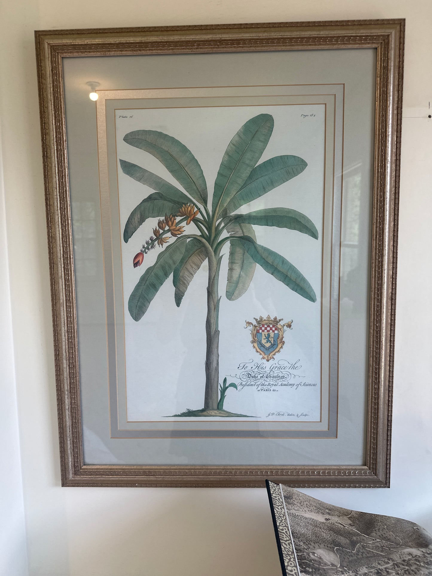 Vintage Palm Plate 16