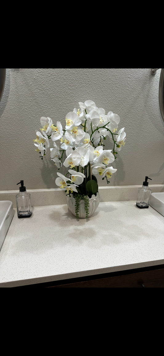 Orchids in White Pot