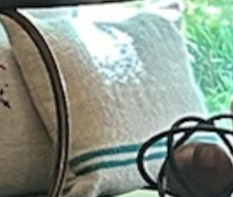 Natural Hemp with Blue Green Stripe Pillow 16x16