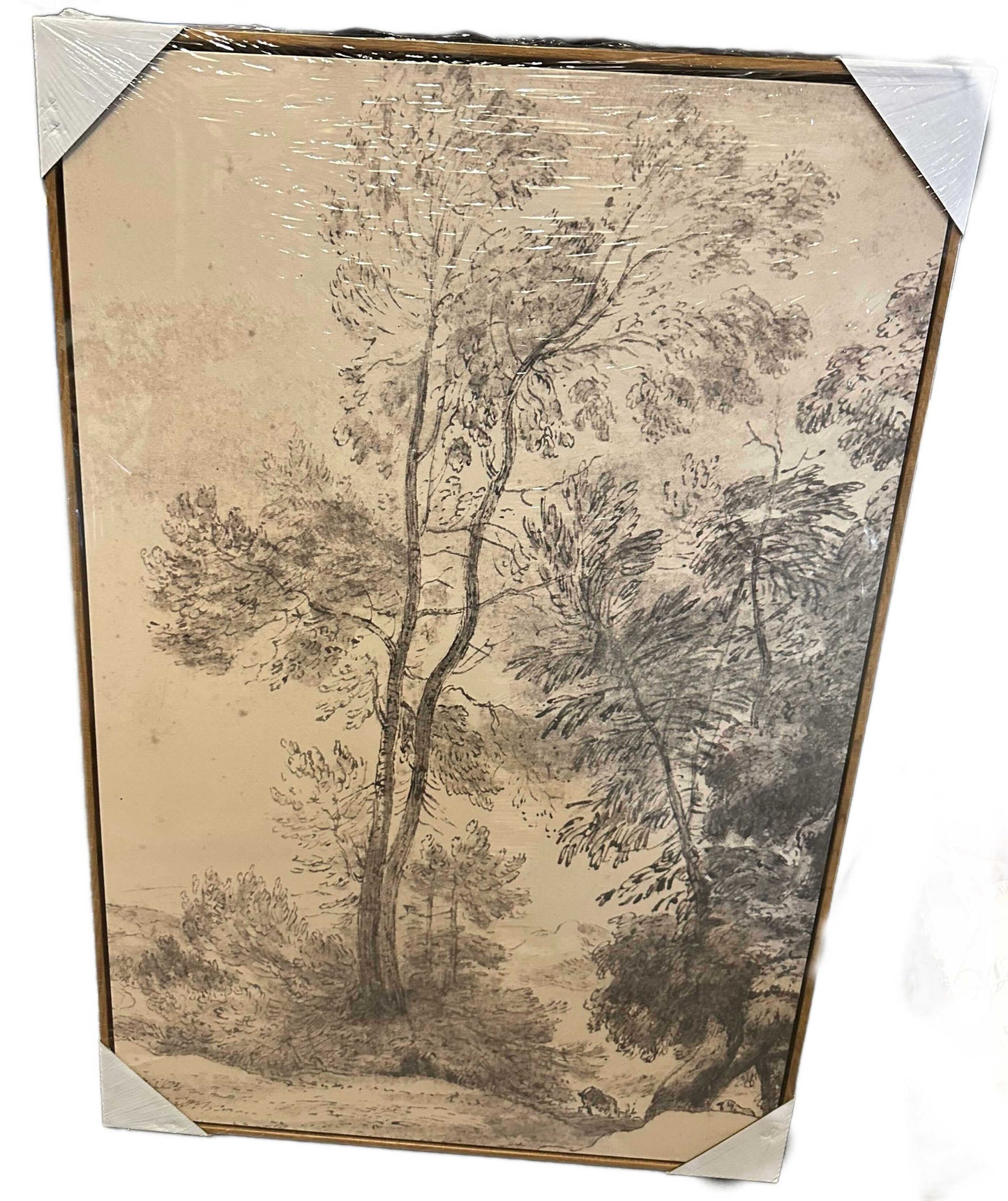 Vintage Forest Tree Sketch I Art 24"x36"