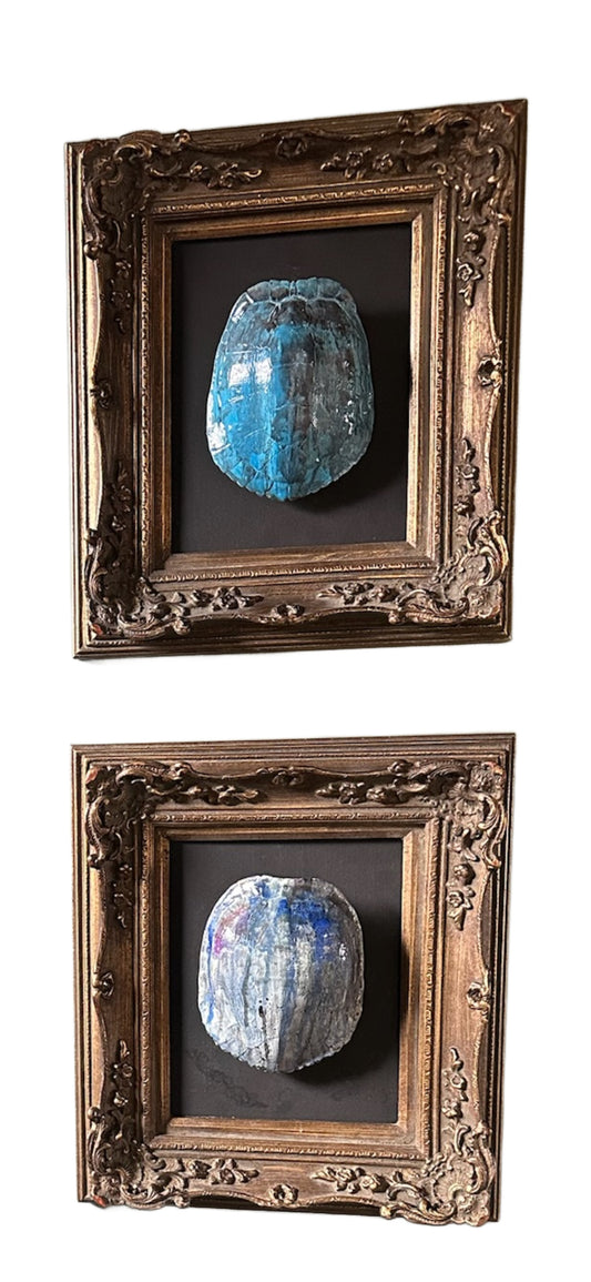 Framed Blue Turtle Wall Art