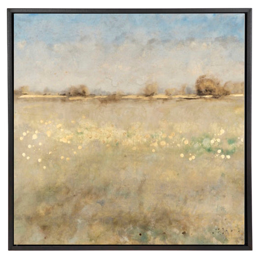 Meadow Plane II 36x36 Black Frame Art