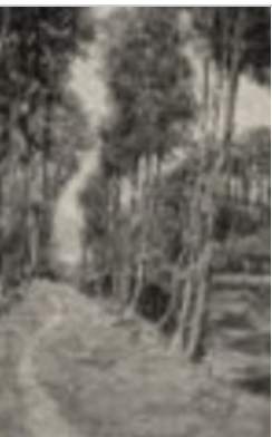 Landscape Wall Hanging - Black and White