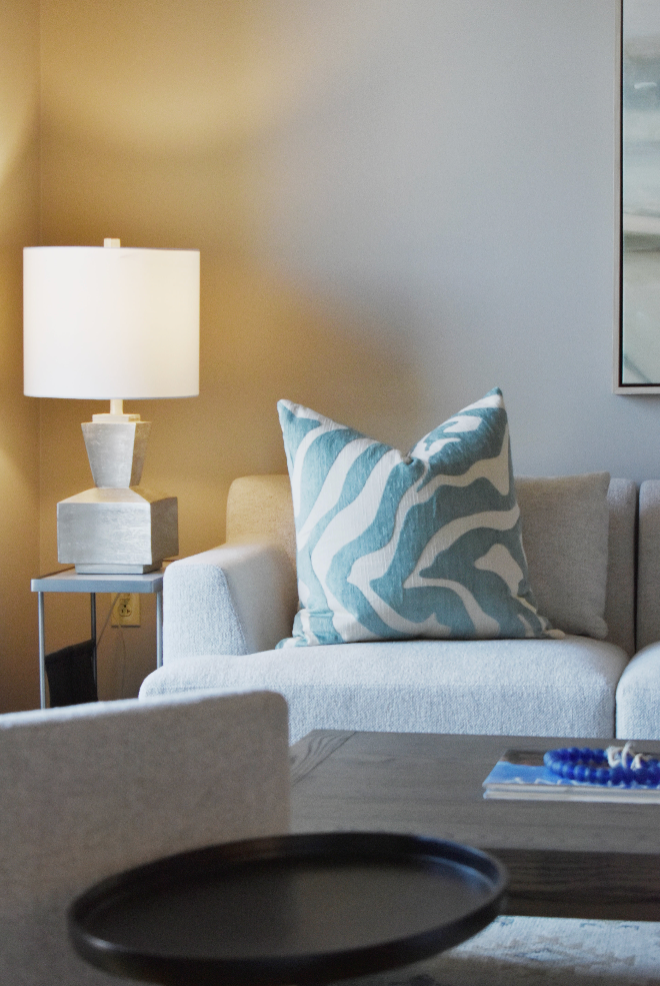 HB Turquoise Zebra Pillow