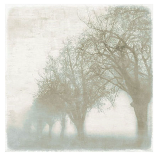 Mystic Morning III 24x24