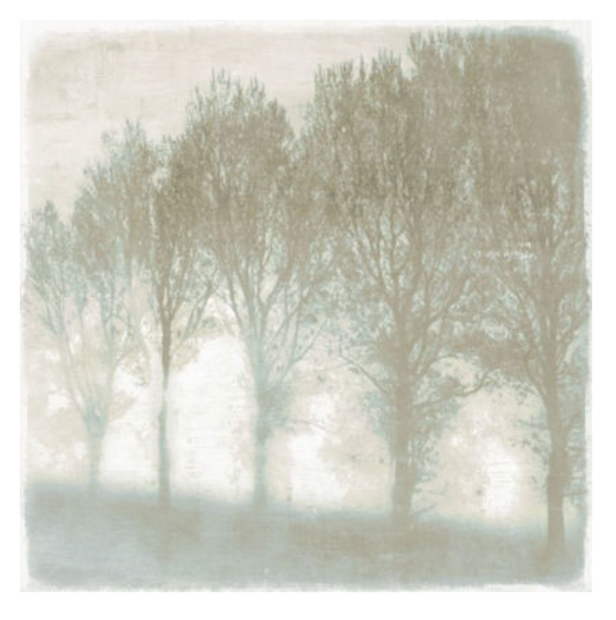 Mystic Morning I 24x24