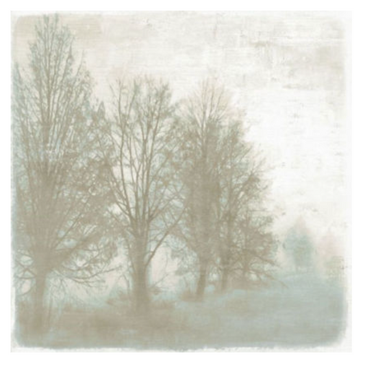 Mystic Morning II 24x24