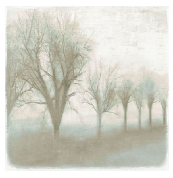 Mystic Morning IV 24x24