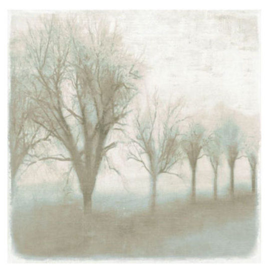 Mystic Morning IV 24x24