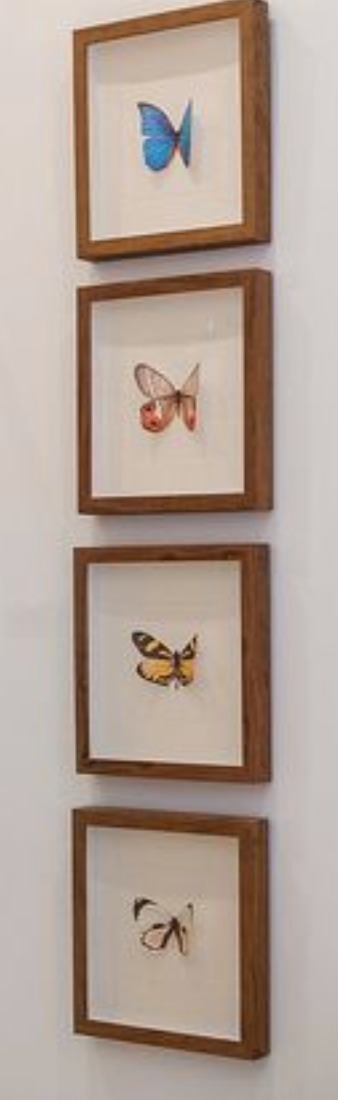 Butterfly Shadowbox Art