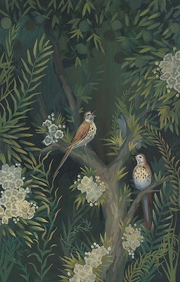 40 × 60 Song Thrush I Art