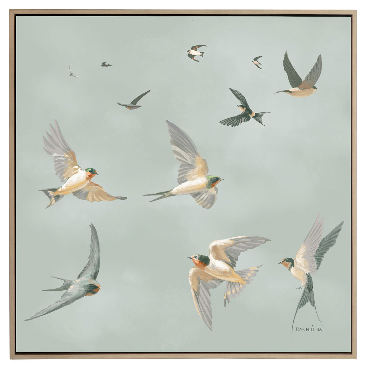 Swifts 48x48 Black Frame Art