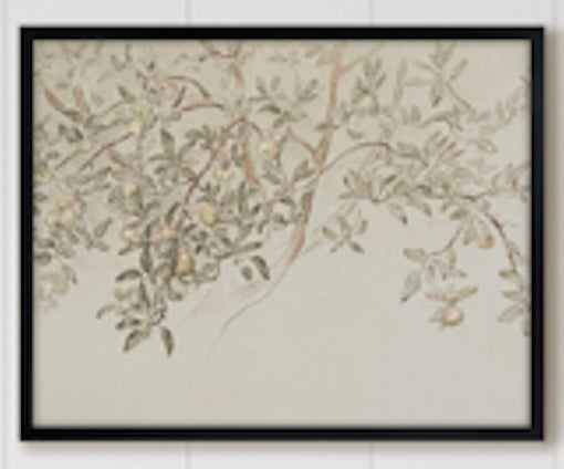 Branch Sketch Framed Art 11"x14"