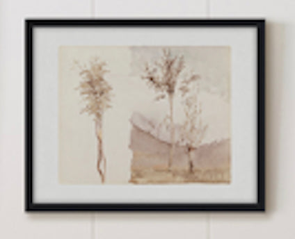 Skinny Trees Framed Art 8"x10"
