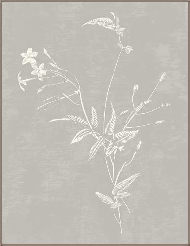 20 × 26 Still Get Butterflies VI Art