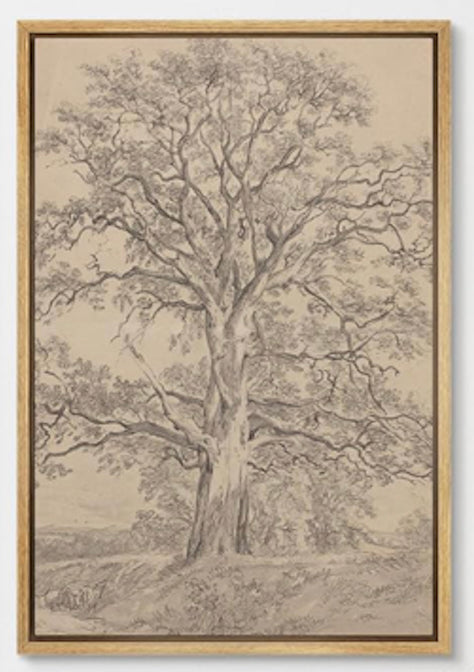 Vintage Forest Tree Sketch II Art 24"x36"