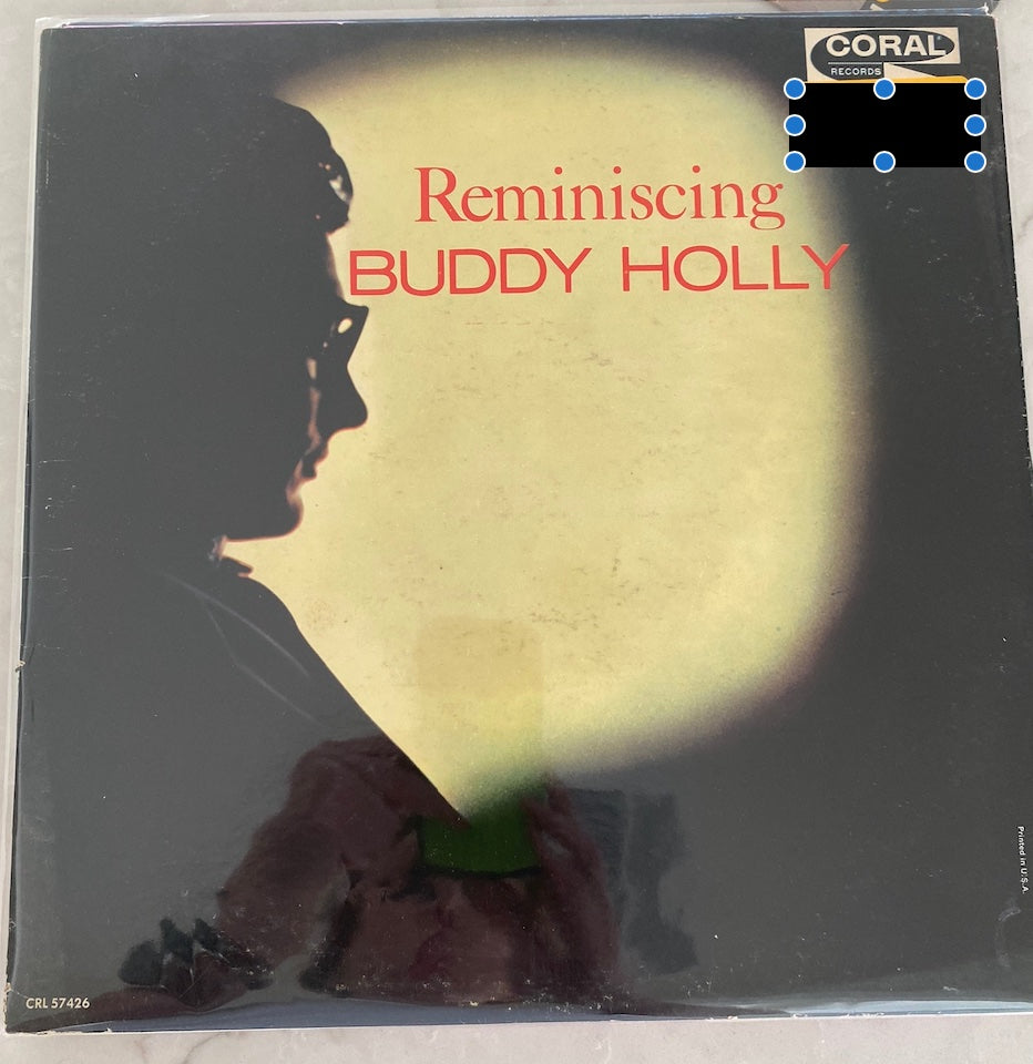 Reminiscing Buddy Holly Record