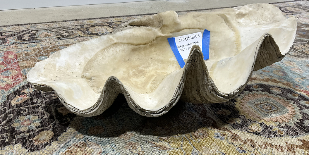 Giant Clamshell 36"x 21" x 13" H