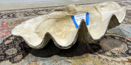 Giant Clamshell 36"x 21" x 13" H