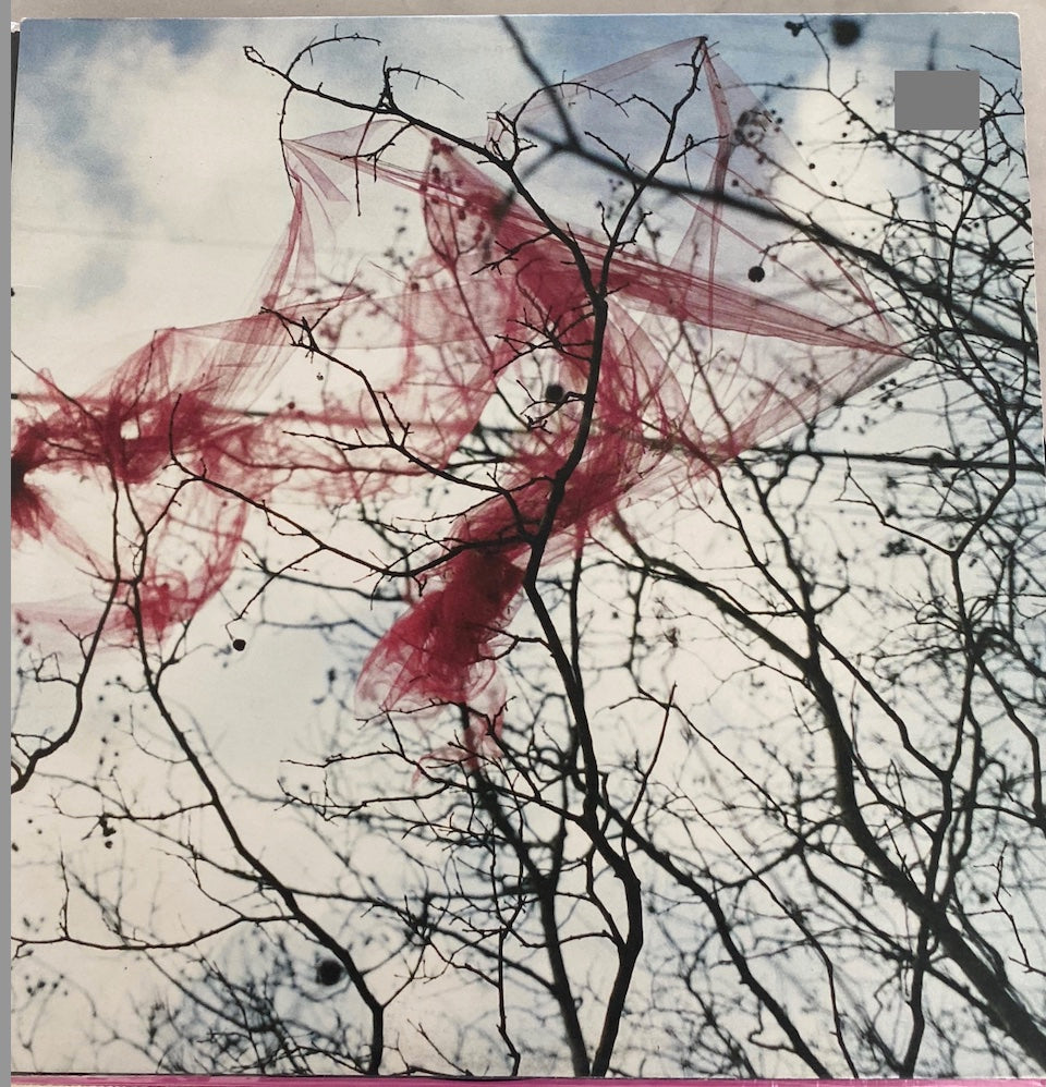 Tree Branches Record